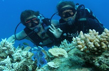 Passions of Paradise, Grande Barrire de Corail, Queensland, Australie